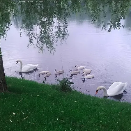 Ca' Del Sile לינה וארוחת בוקר 4*