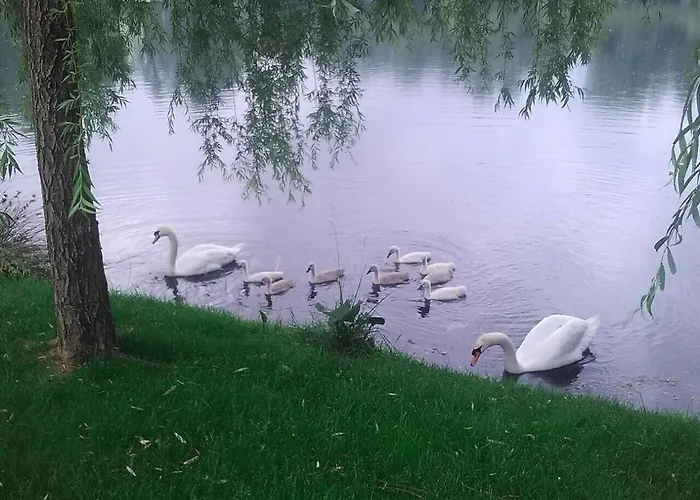 Ca' Del Sile Nocleg ze śniadaniem 4*